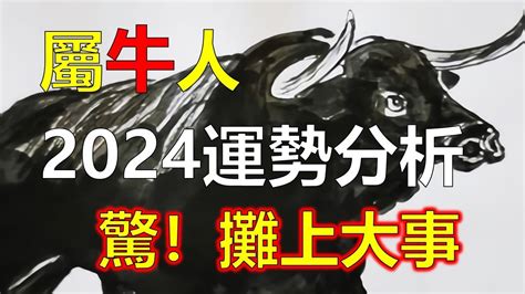 屬牛財運|2024年屬牛人的全年運勢（超詳細）